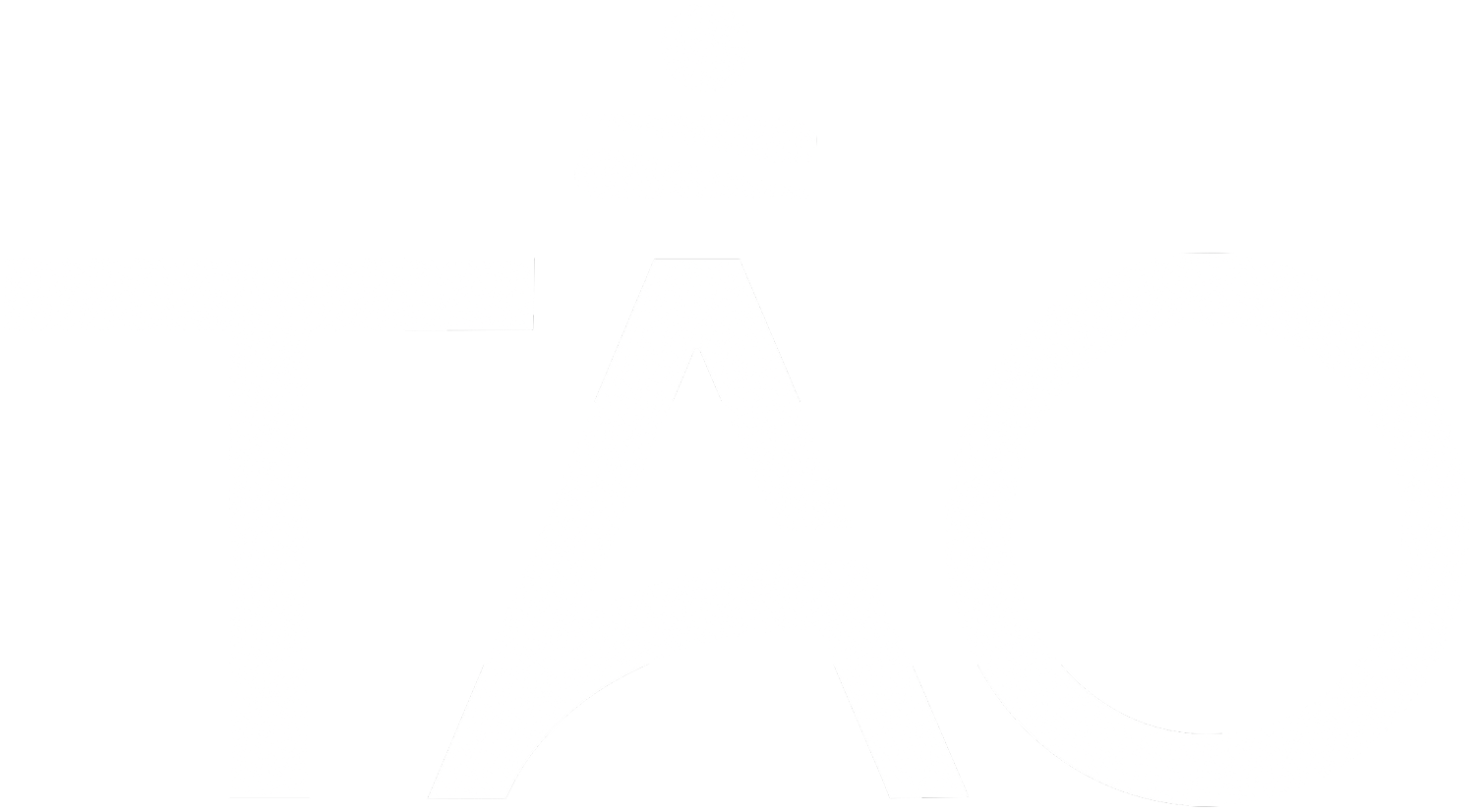 Tao Logo